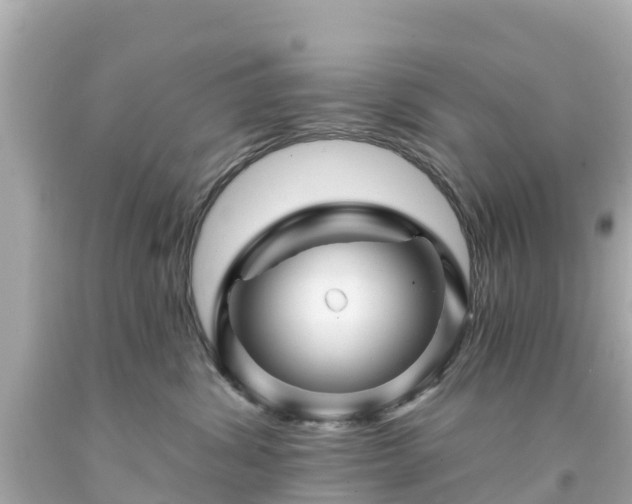 X0000094190428200711021033