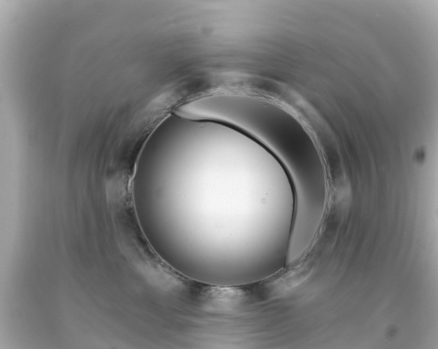 X0000094190429200711021033