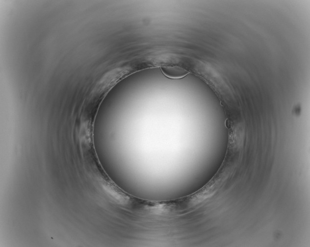 X0000094190430200711021033