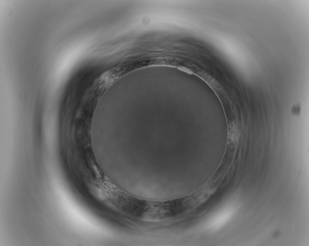 X0000094190431200711021033