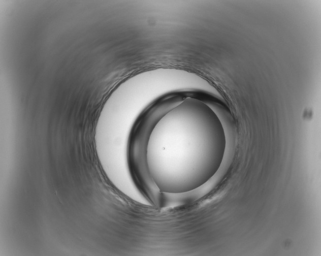 X0000094190432200711021032