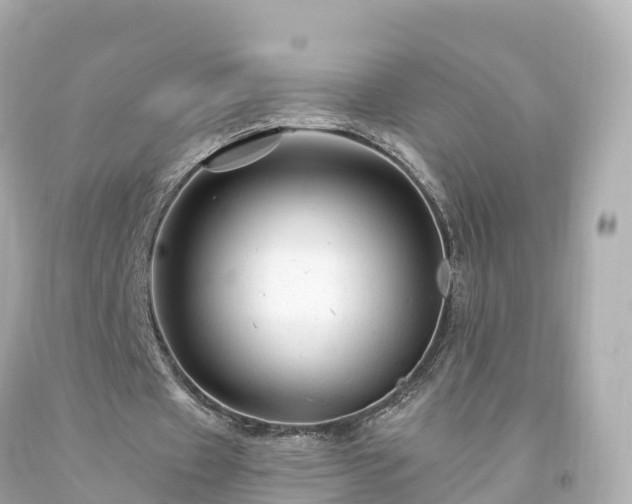 X0000094190433200711021032