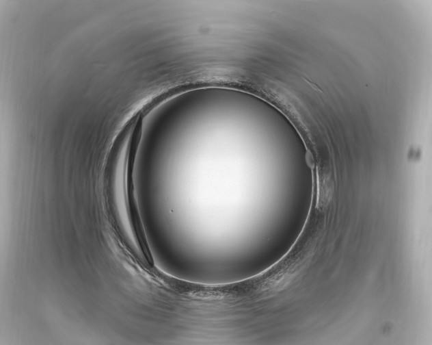 X0000094190435200711021032