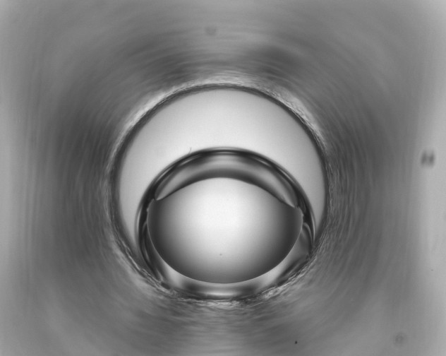 X0000094190436200711021032