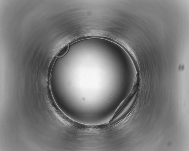 X0000094190437200711021032