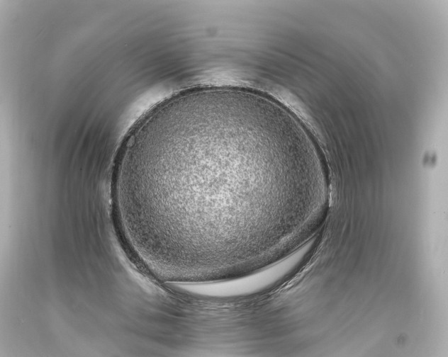 X0000094190438200711021032