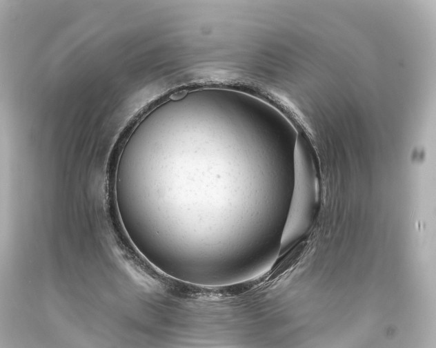 X0000094190439200711021032