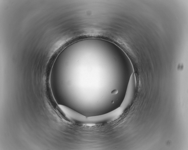 X0000094190440200711021032