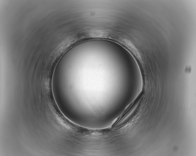 X0000094190441200711021032