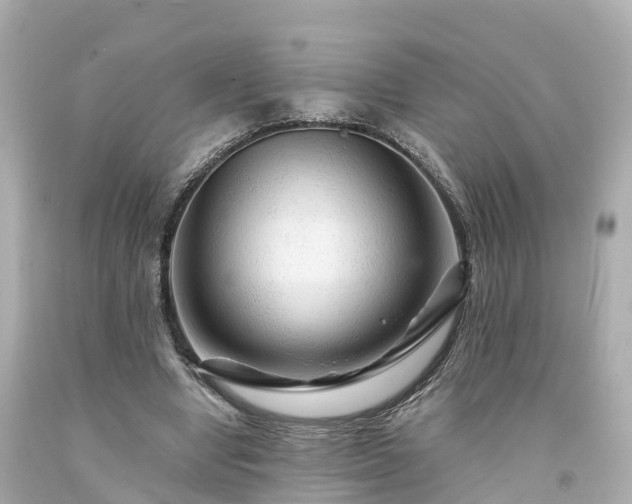 X0000094190442200711021032