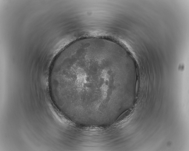 X0000094190443200711021032