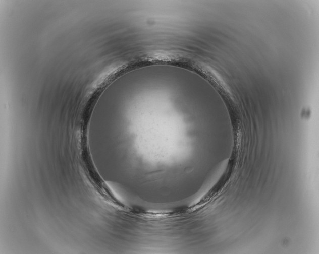 X0000094190444200711021032