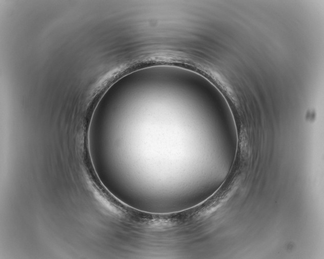 X0000094190445200711021032