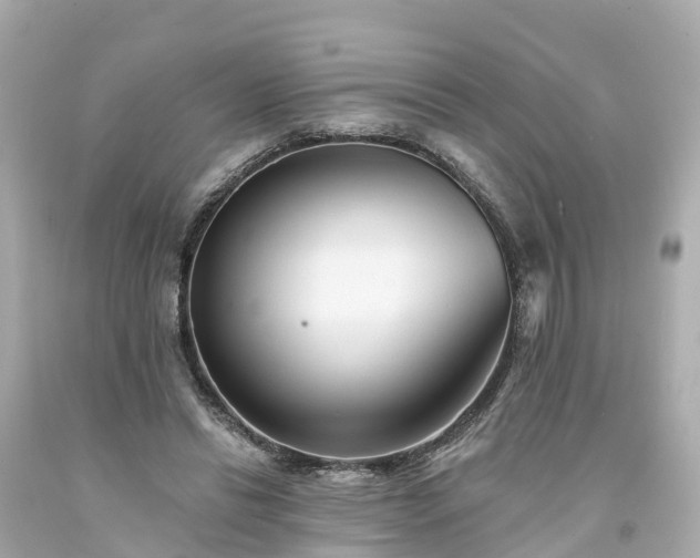 X0000094190446200711021032