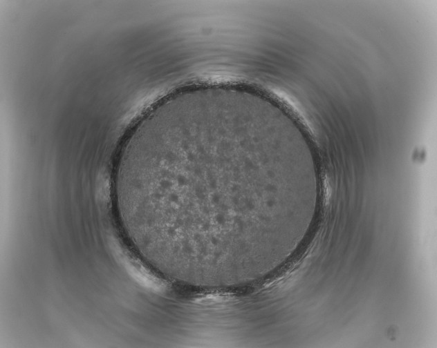 X0000094190447200711021032