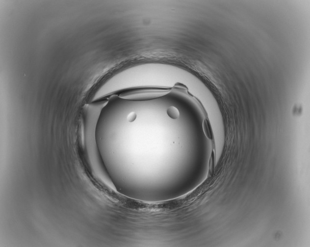 X0000094190448200711021032