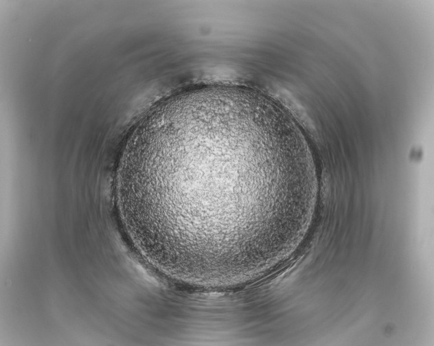 X0000094190449200711021032