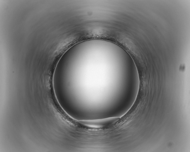 X0000094190450200711021032