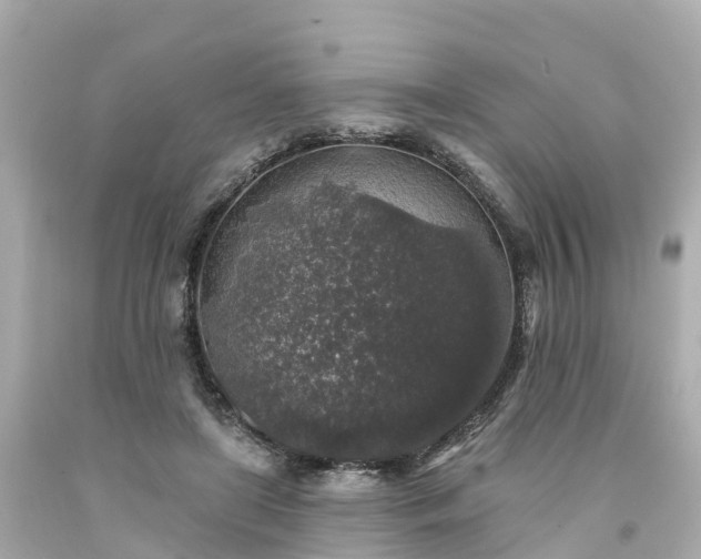 X0000094190451200711021032