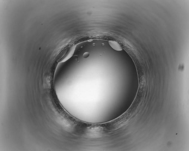 X0000094190452200711021032