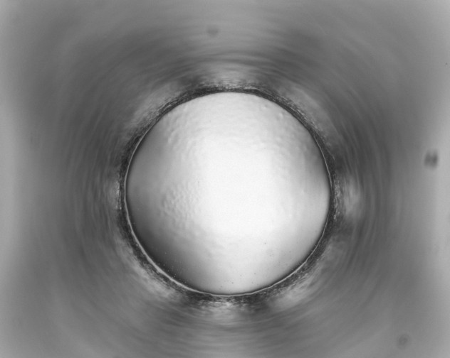 X0000094190453200711021032