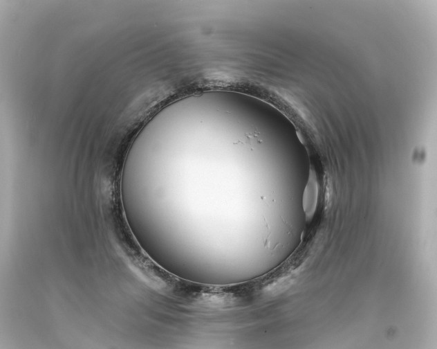 X0000094190455200711021032