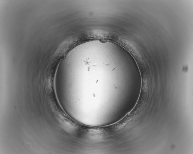 X0000094190457200711021032