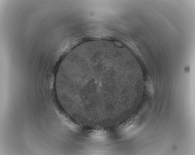 X0000094190458200711021032