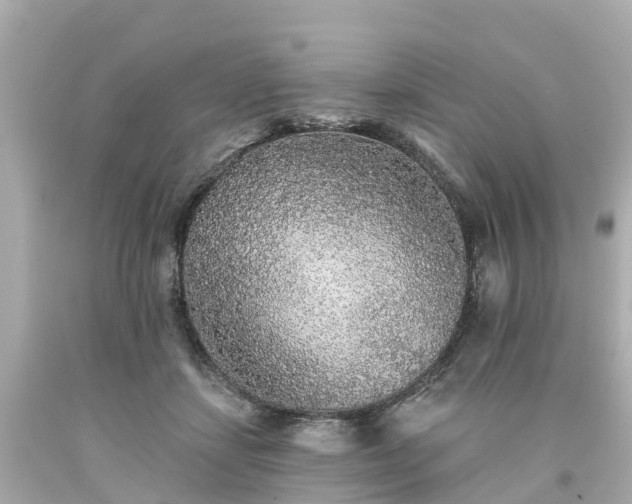 X0000094190459200711021032