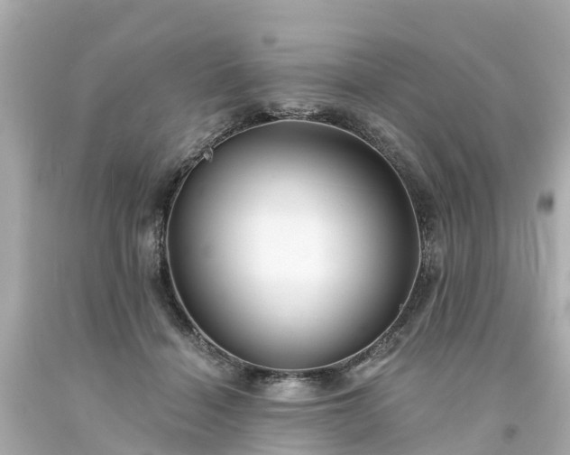 X0000094190460200711021032