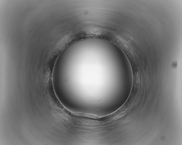 X0000094190463200711021032