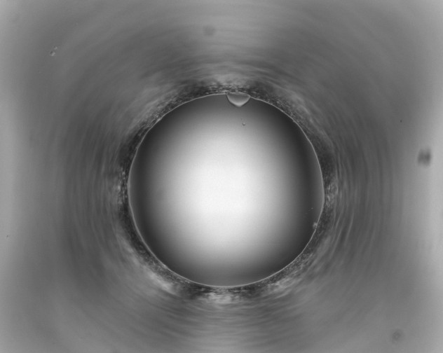 X0000094190464200711021032