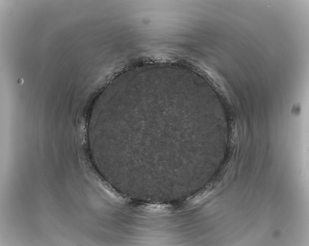 X0000094190465200711021032