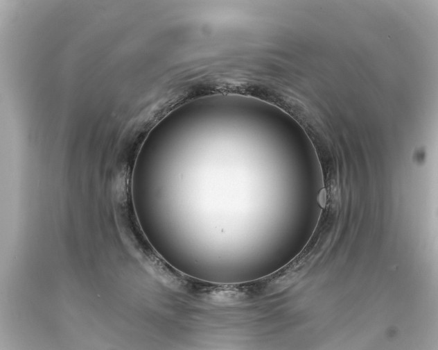 X0000094190468200711021032