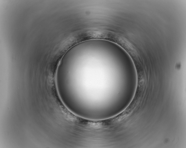 X0000094190469200711021032