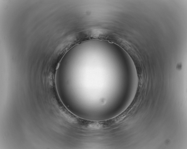 X0000094190470200711021032