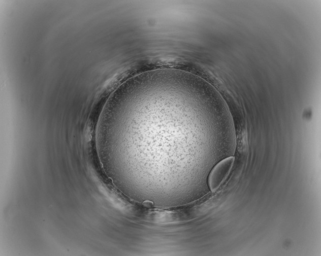 X0000094190472200711021032