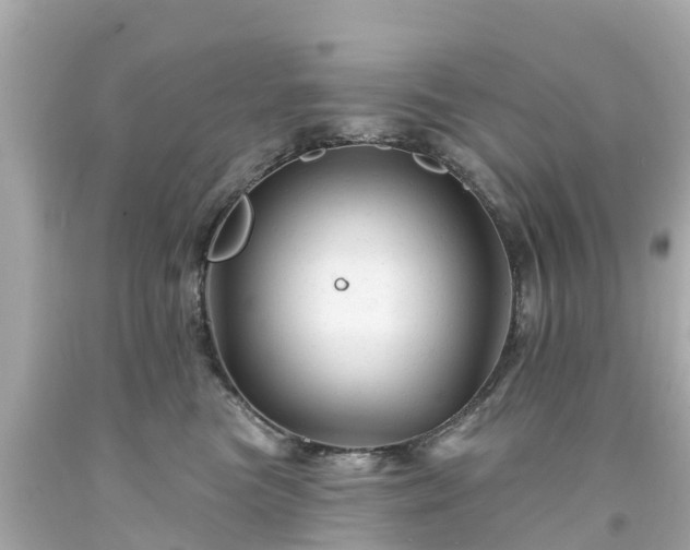 X0000094190473200711021032