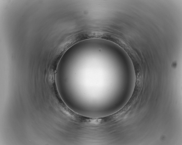 X0000094190474200711021032