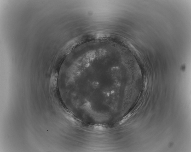 X0000094190475200711021032