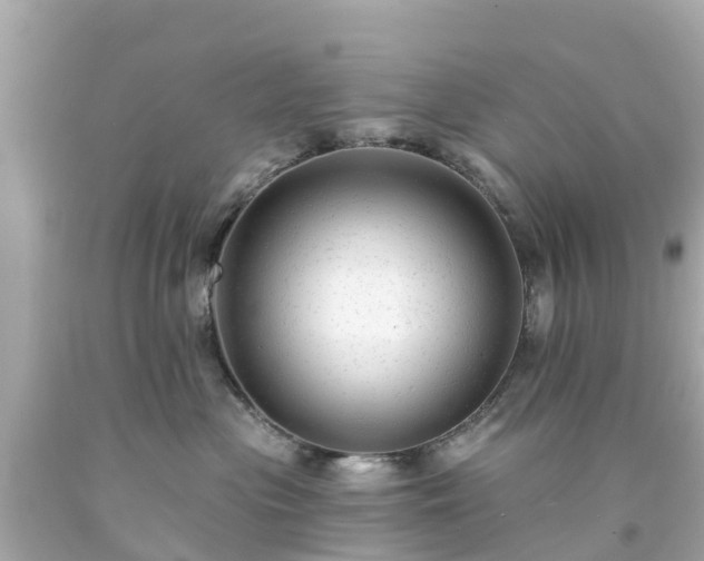 X0000094190477200711021032