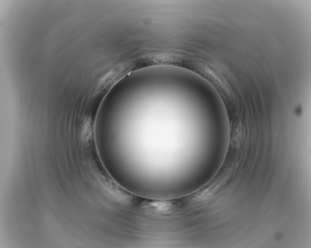 X0000094190478200711021032