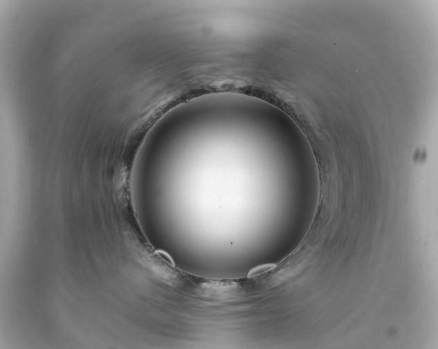 X0000094190480200711021032