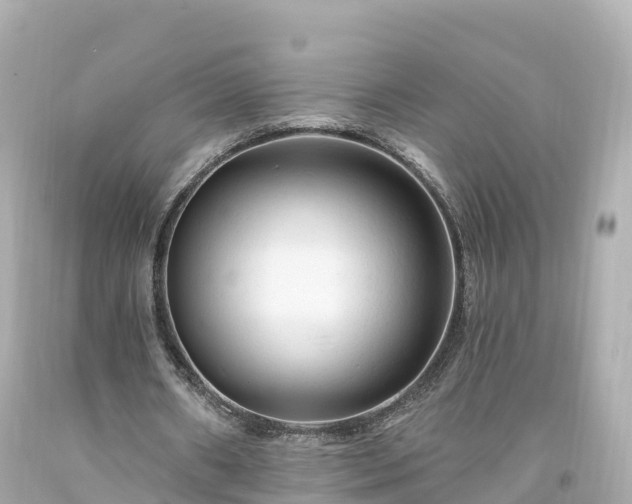 X0000094190482200711021032