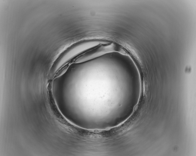 X0000094190483200711021032