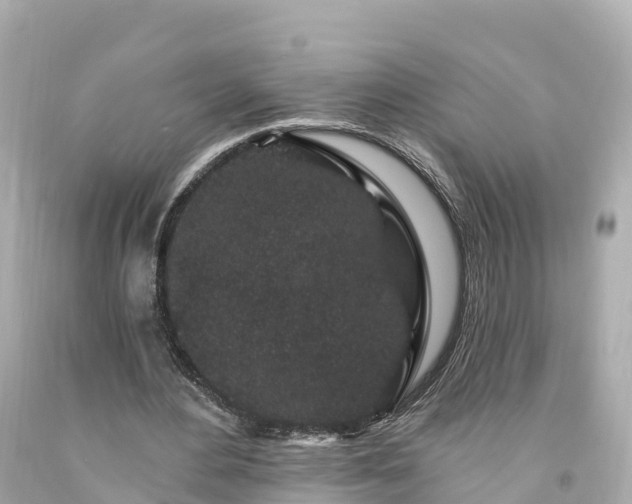 X0000094190484200711021032