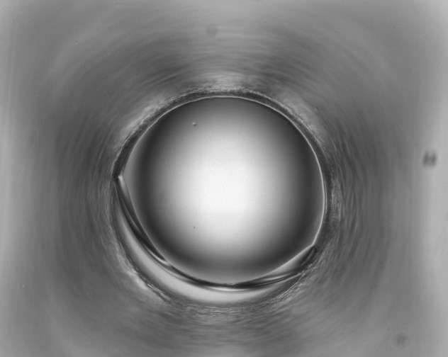 X0000094190485200711021032