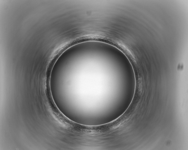 X0000094190486200711021032