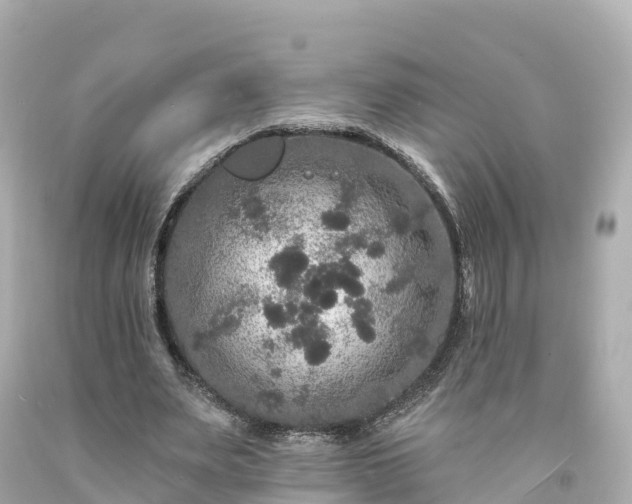 X0000094190487200711021032