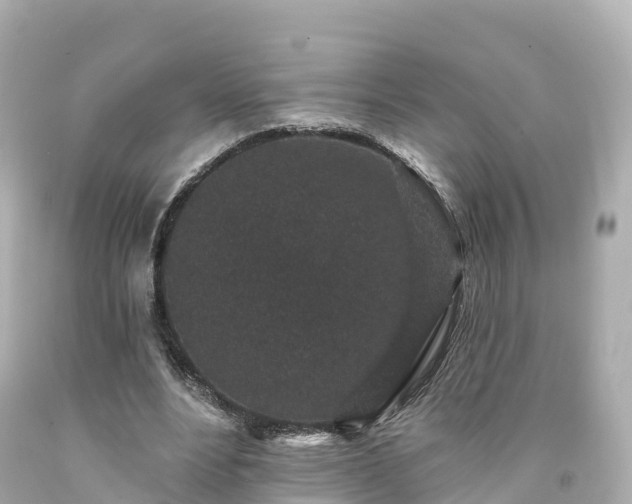 X0000094190488200711021032